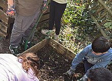 Schrebergarten-Bienenreich_WGD Mitte_2026 Gemeinschaftsarbeit