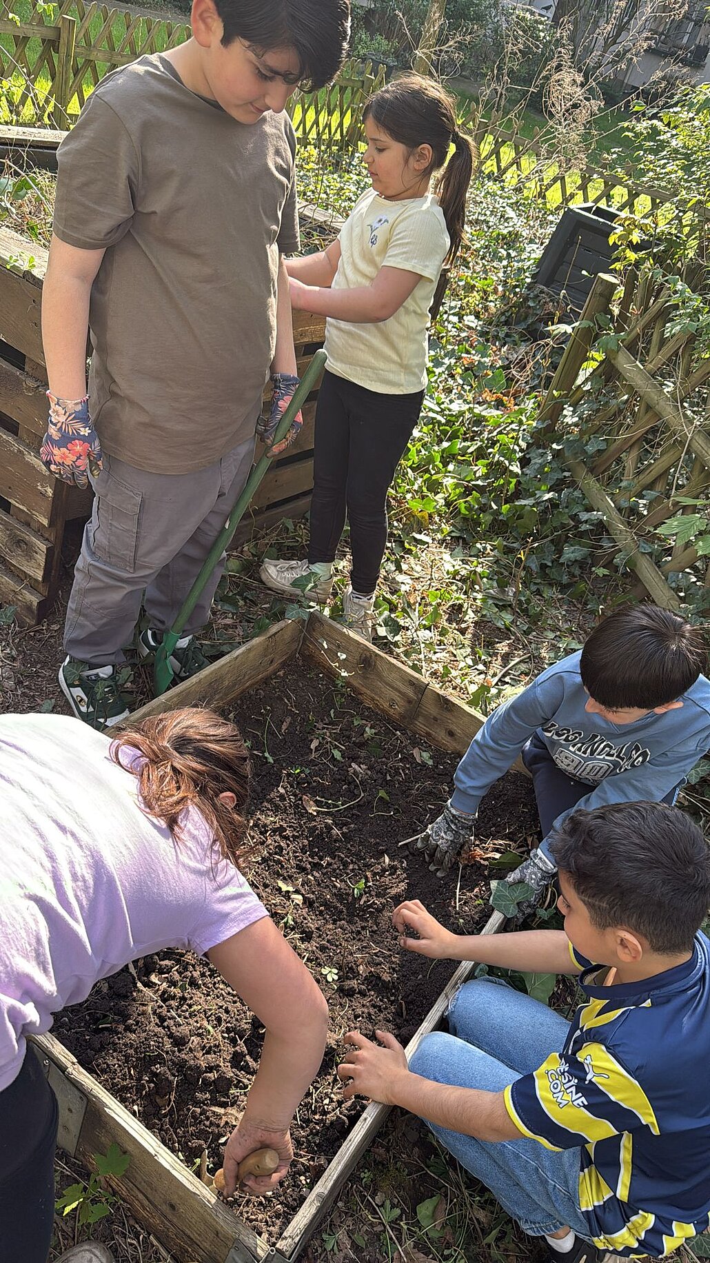 Schrebergarten-Bienenreich_WGD Mitte_2026 Gemeinschaftsarbeit