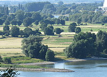 Rheinaue in Duisburg