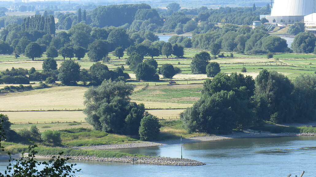Rheinaue in Duisburg