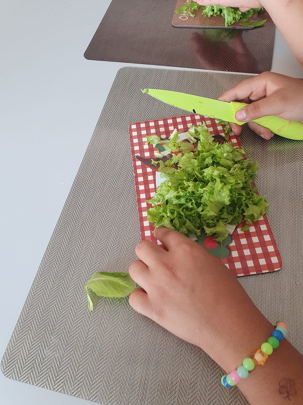 Schrebergarten-Bienenreich_WGD Mitte_2026 Zubereitung der Ernte