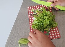 Schrebergarten-Bienenreich_WGD Mitte_2026 Zubereitung der Ernte