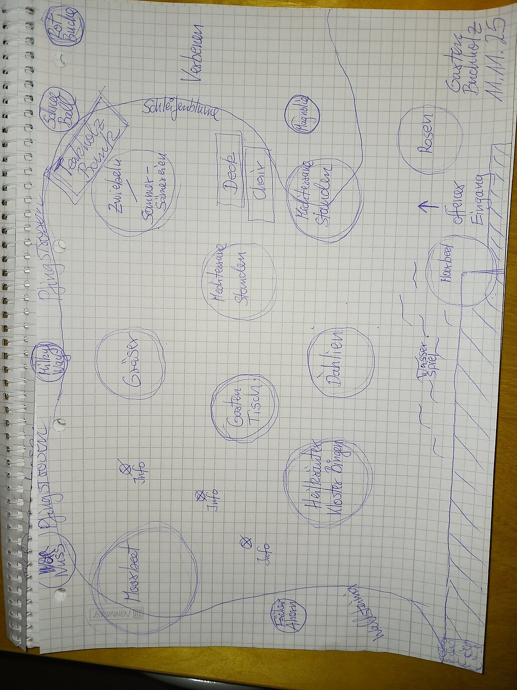 Anordnung Pflanzen und Wege