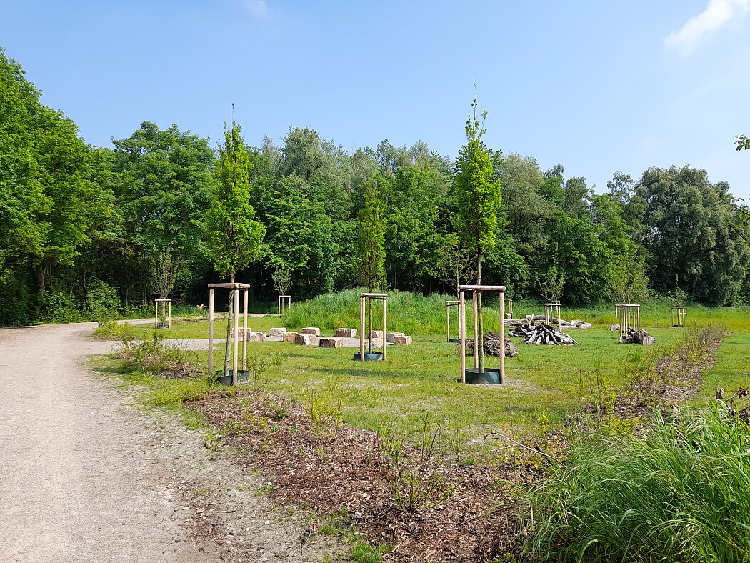 Biodiversitätsinsel Hestermanngebiet Recklinghausen Naturpädagogische Fläche mit Wildrosenhecke, Obstbäumen, Sitzsteine und dem Wäldchen im Hintergrund