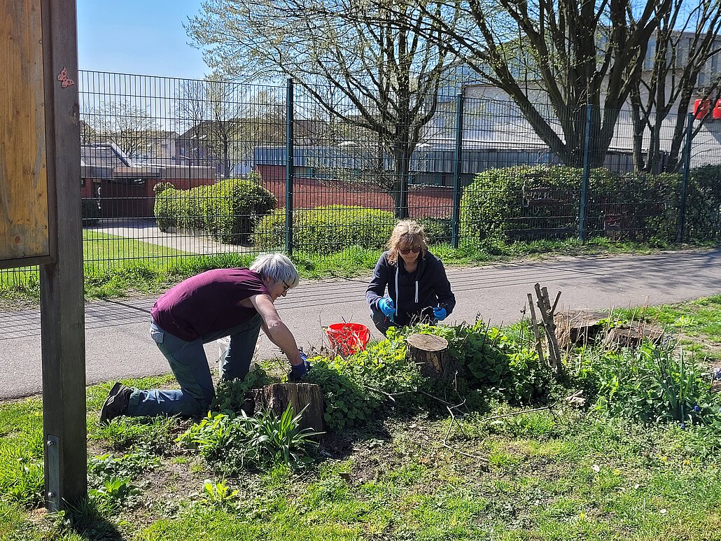 Arbeiten am Blühstreifen Arbeiten am Blühstreifen