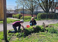 Arbeiten am Blühstreifen Arbeiten am Blühstreifen