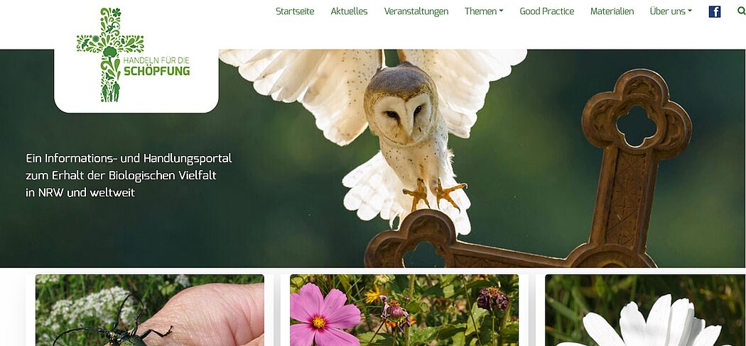 Auf ein Kreuz anfliegende Schleiereule neben Logo mit Kreuz und über Fotos von Käfer und Blüten