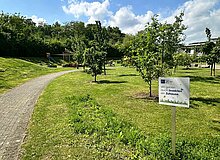 Obstbaumwiese im Genossenschaftsgarten Obstbaumwiese im Genossenschaftsgarten
