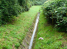 Biodiversitätsinsel Hestermanngebiet Recklinghausen Teerbach