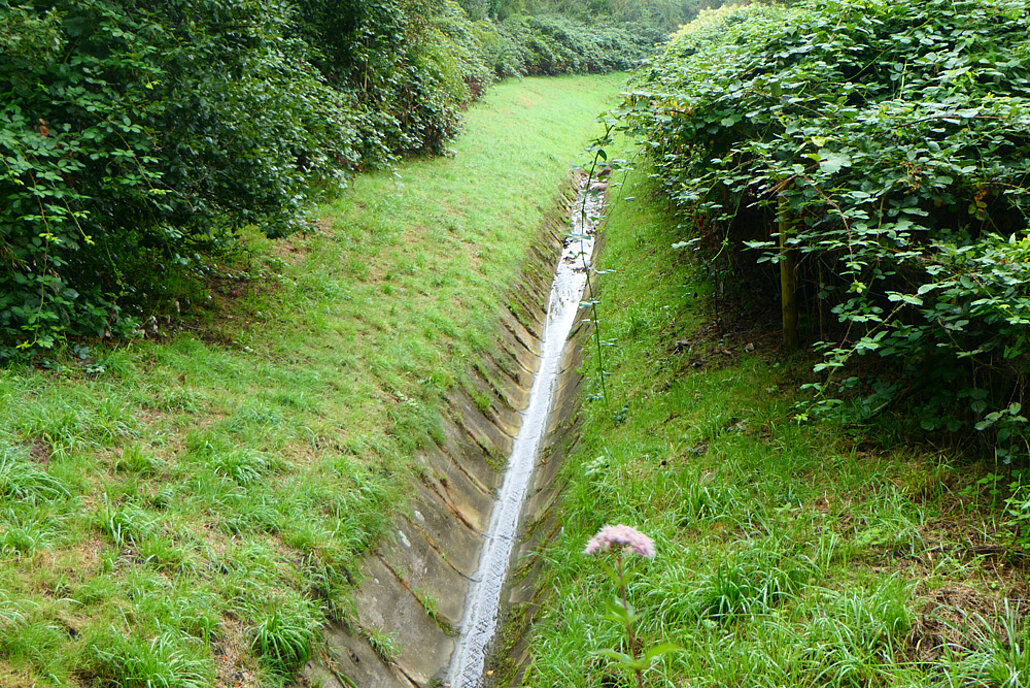 Biodiversitätsinsel Hestermanngebiet Recklinghausen Teerbach