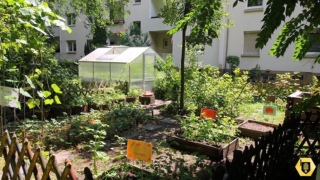 Schrebergarten-Bienenreich_WGD Mitte_2026 Gartenprojekt des Kindertreffpunktes Bienenreich