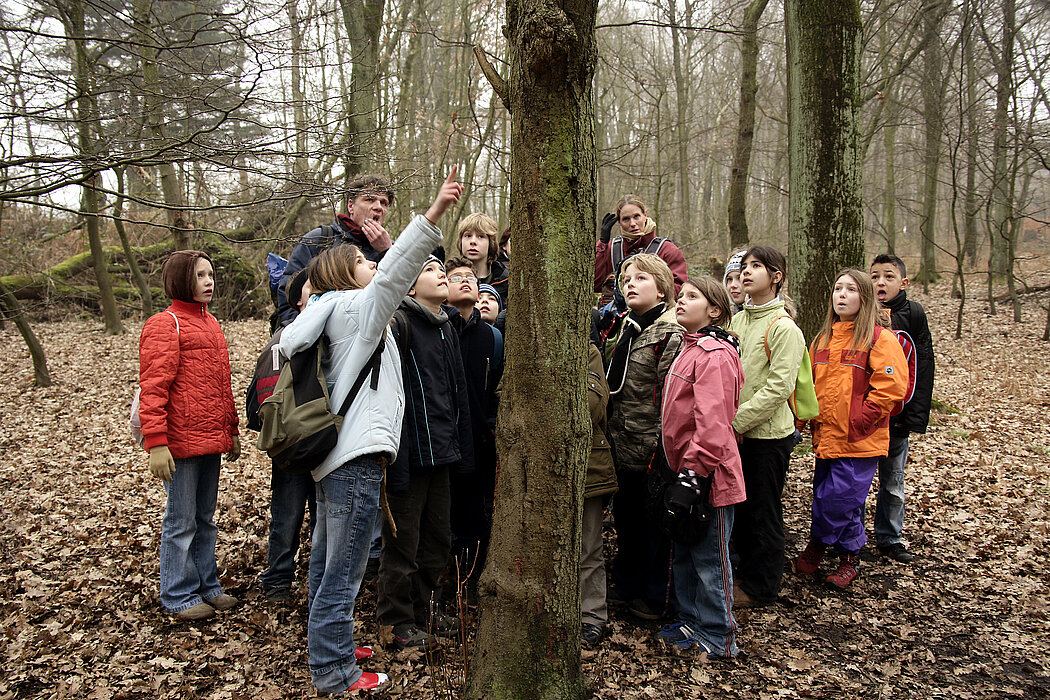 Schulklasse untersucht einen Baum 
