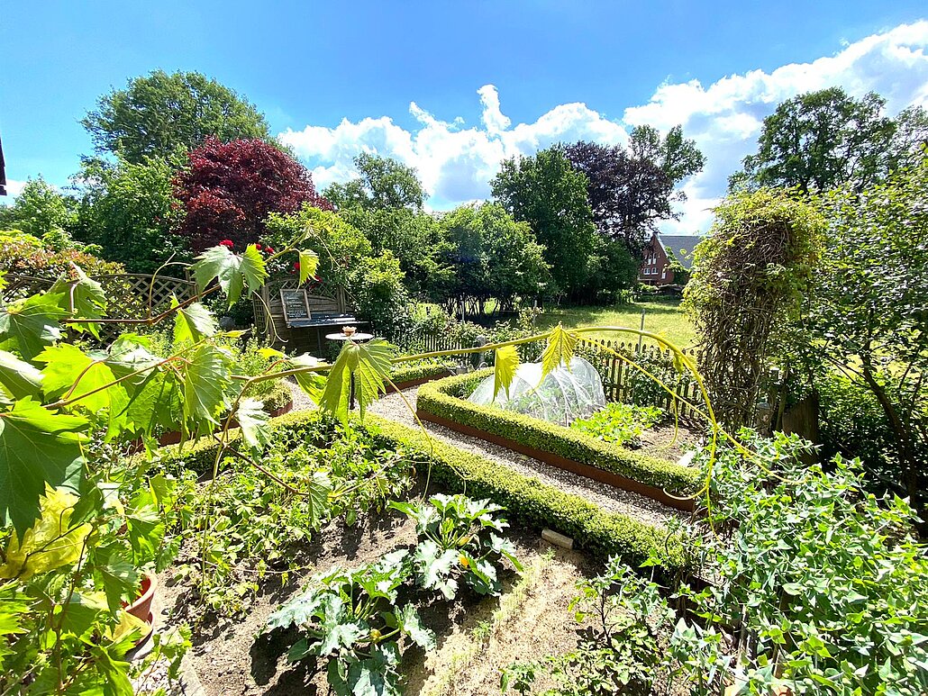 Landleben op de Kuhle, Dorsten, C. Schumann, 2025 Bauerngarten, Gemüsebeete mit Ilexeinfassung
