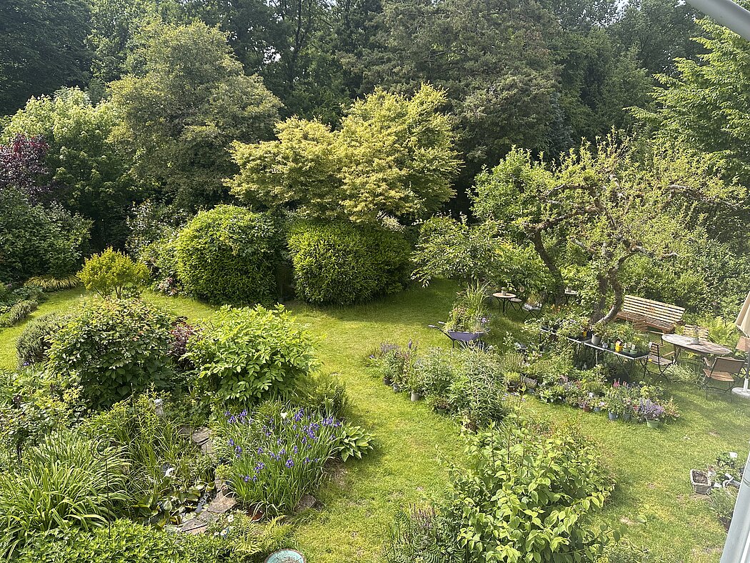 der Garten von oben