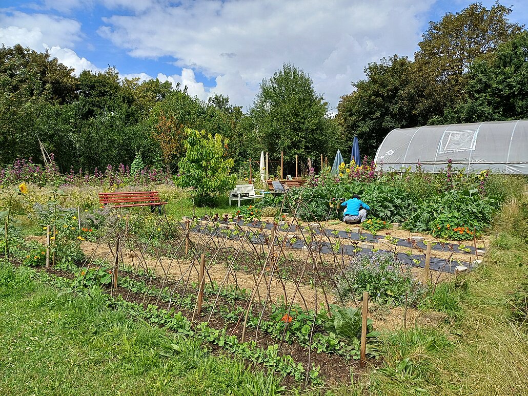 Gartenaussicht