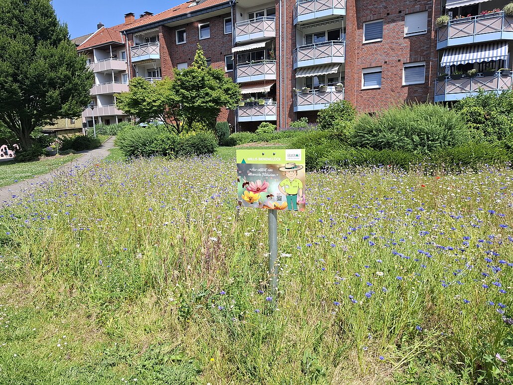 Bienenweide inmitten von Wohnbebauung