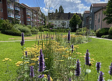 Für Anwohner*innen nutzbare Grünfläche inmitten von Wohnbebauung mit Blumenstreifen