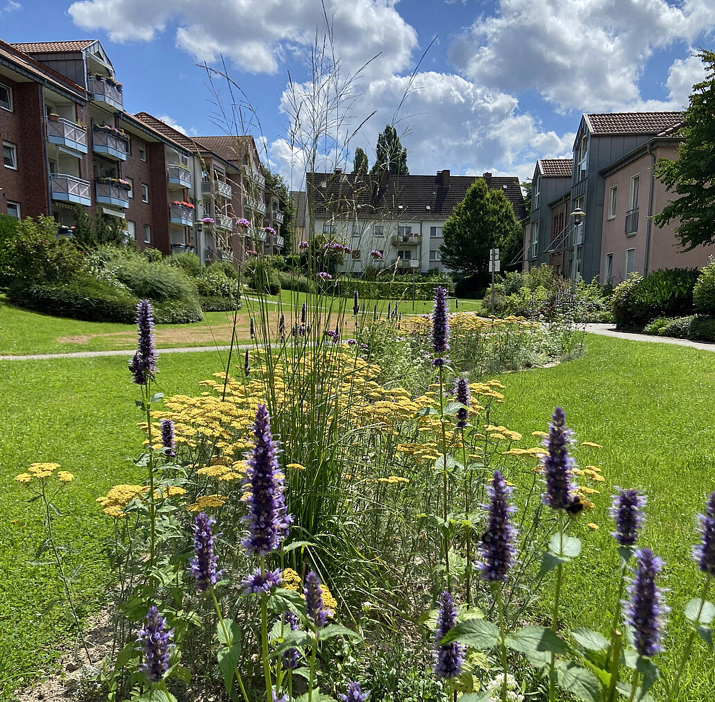Für Anwohner*innen nutzbare Grünfläche inmitten von Wohnbebauung mit Blumenstreifen
