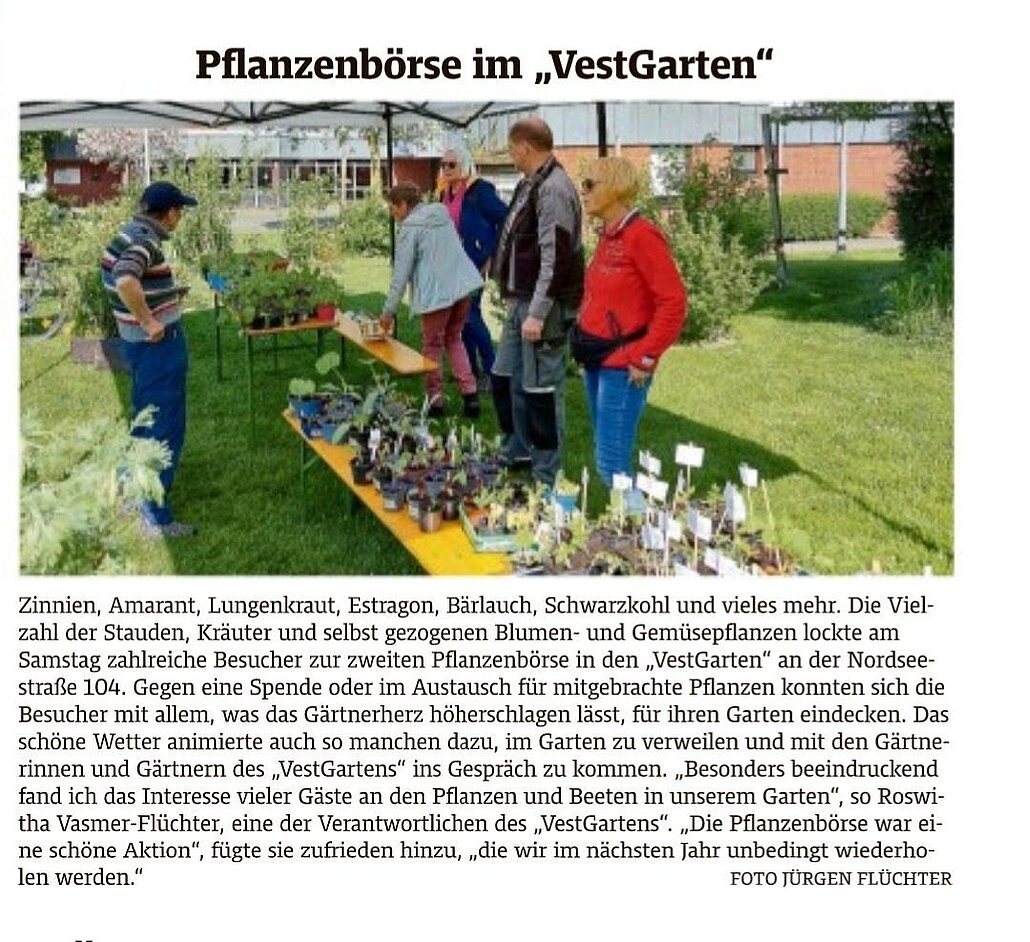 VestGarten Pflanzenbörse im Frühjahr