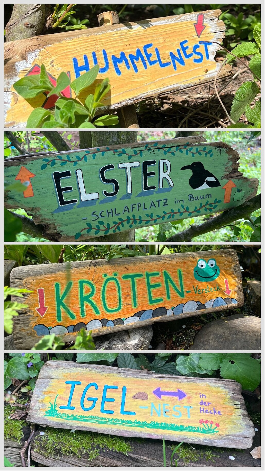 Tiere im Garten Man sieht vier Schilder, die auf Tiere im Garten hinweisen