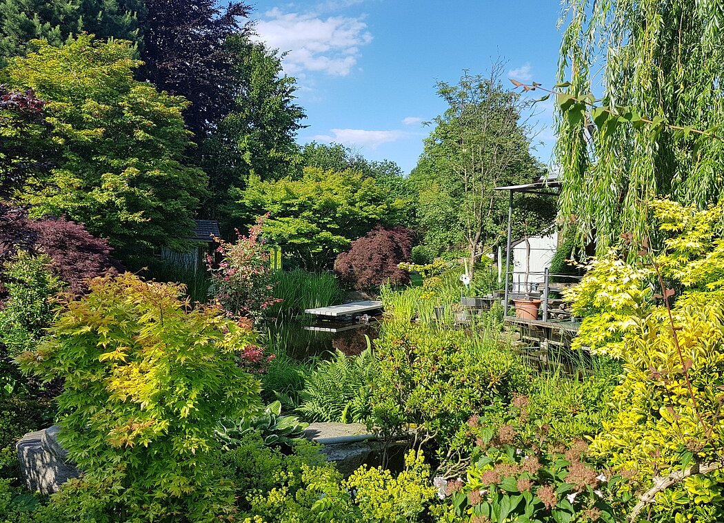 Blick auf den Teich, den Steg und umliegende Pflanzen