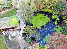 Garten05-Mache-Stiftung