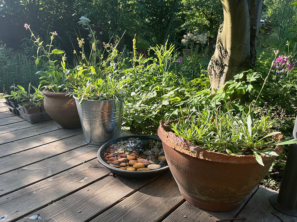 Töpfe Man sieht bepflanzte Töpfe