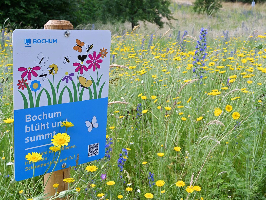 Bunt blühende Wiese mit Beschilderung der Stadt Bochum