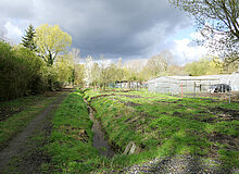 Biodiversitätsinsel Hestermanngebiet Recklinghausen Seitenarm des Teerbachs