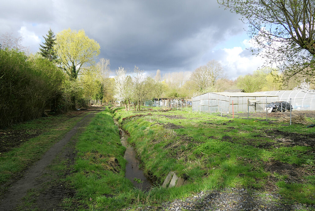 Biodiversitätsinsel Hestermanngebiet Recklinghausen Seitenarm des Teerbachs