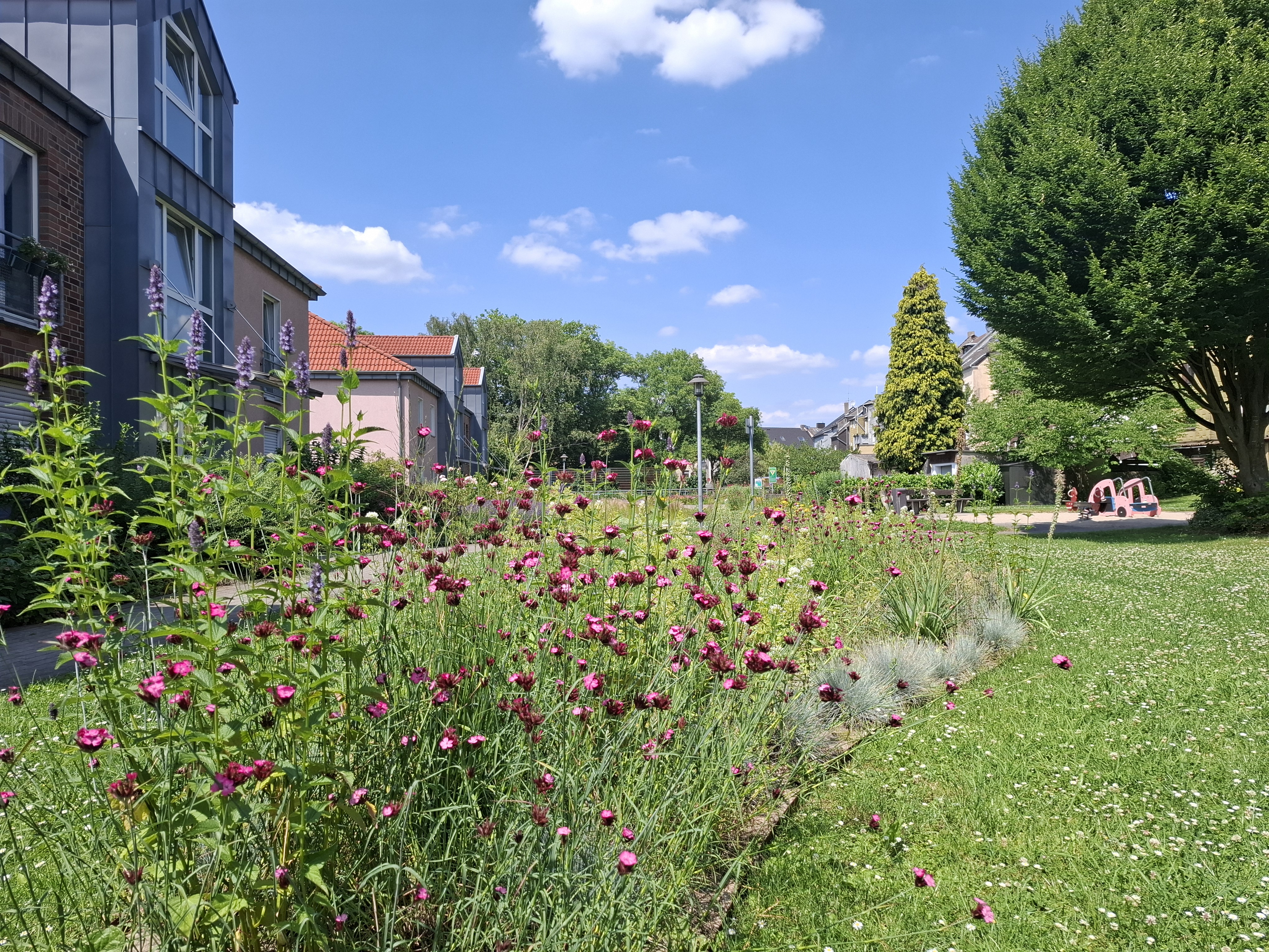 Für Anwohner*innen nutzbare Grünfläche inmitten von Wohnbebauung mit Blumenstreifen und Spielplatz