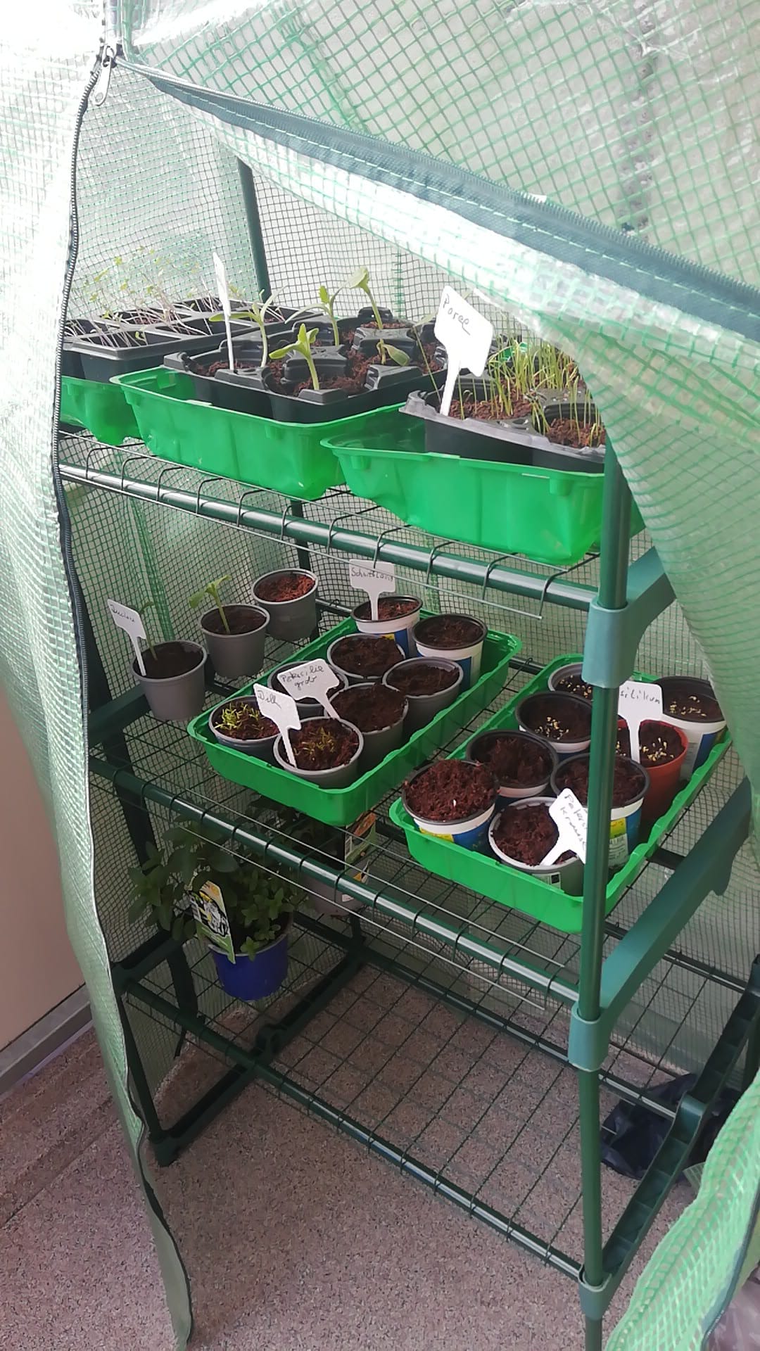 Anzucht von Pflanzen im Gewächshaus