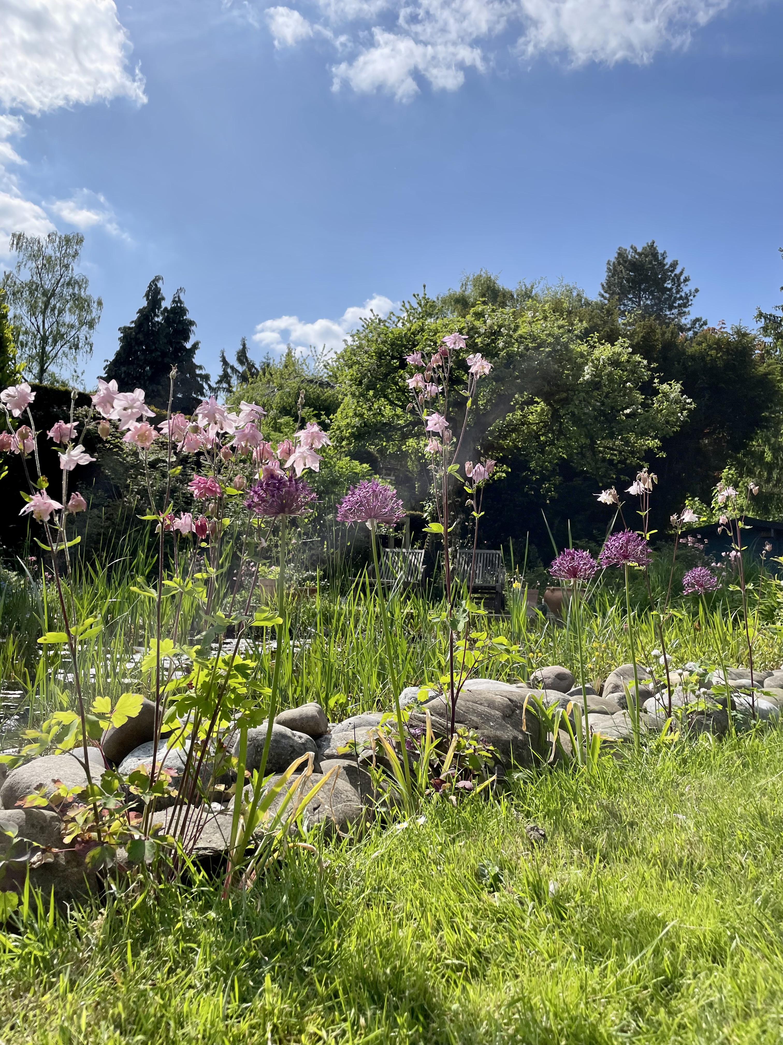Blumen und Terrasse am Teich