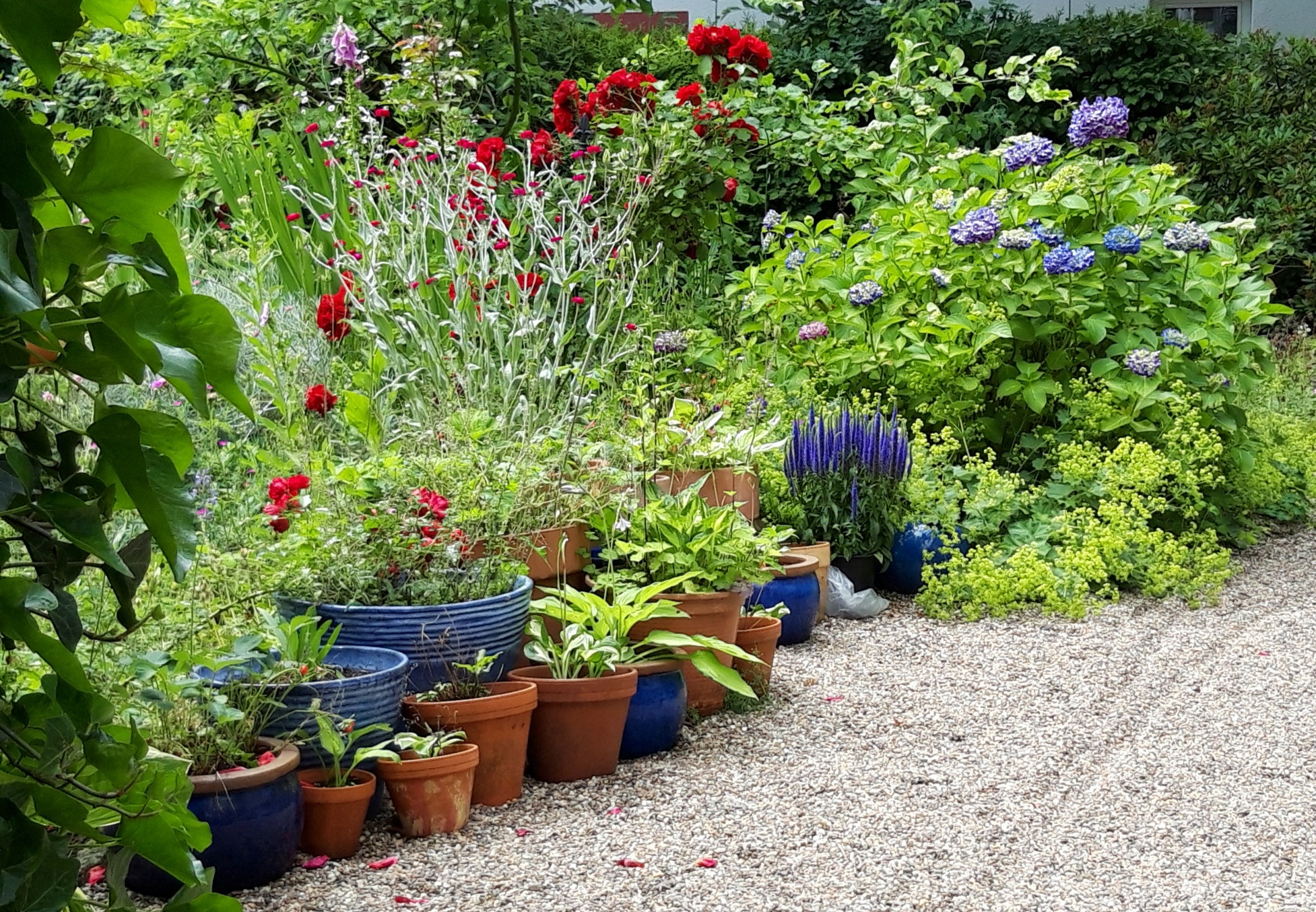 Töpfe im Garten