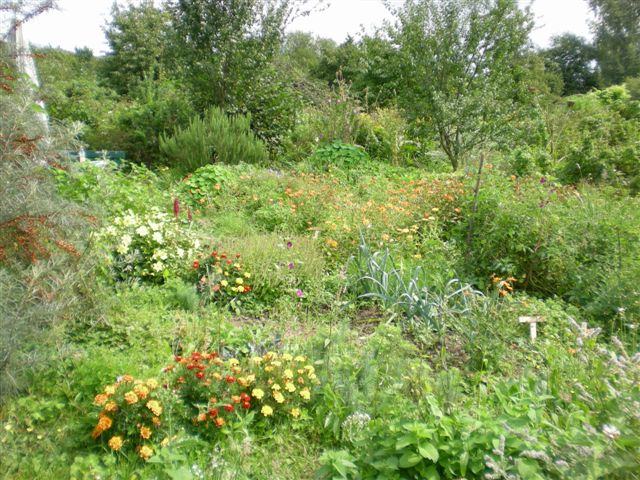 Das Bild zeigt im Vordergrund eine Beet in wilder Vielfalt von Blumen, Kräutern, Gemüse. Im Hintergrund Sträucher und Bäume. 