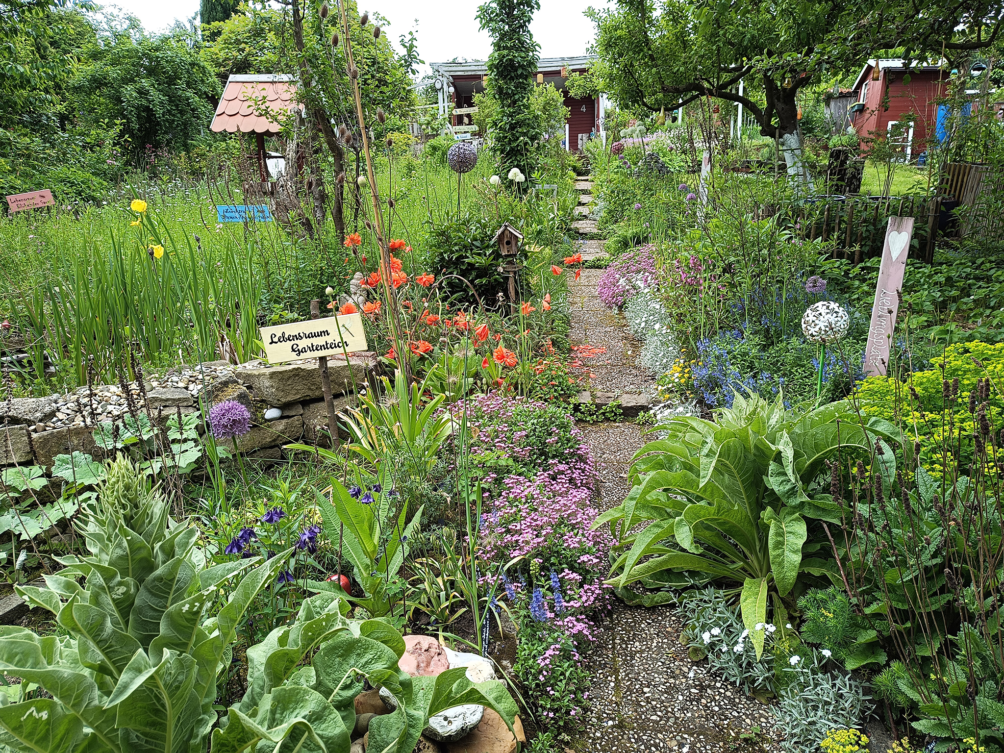 Der Hauptweg des Gartens mit Blick auf den Gartenteich und verschiedenen heimischen Pflanzen