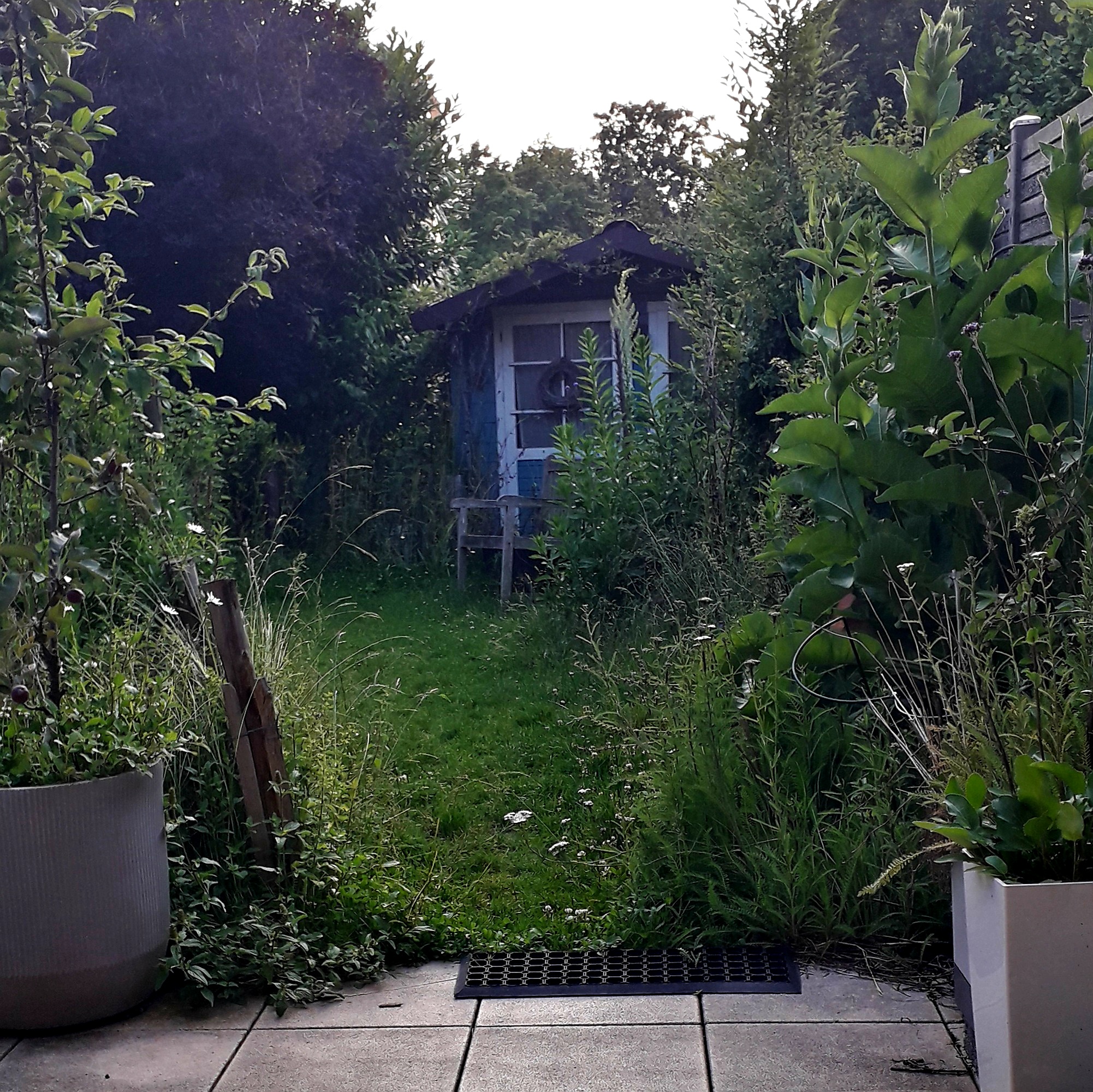Blick in einen kleinen Garten, rechts und links ungemähte Ränder mit Wildblüten