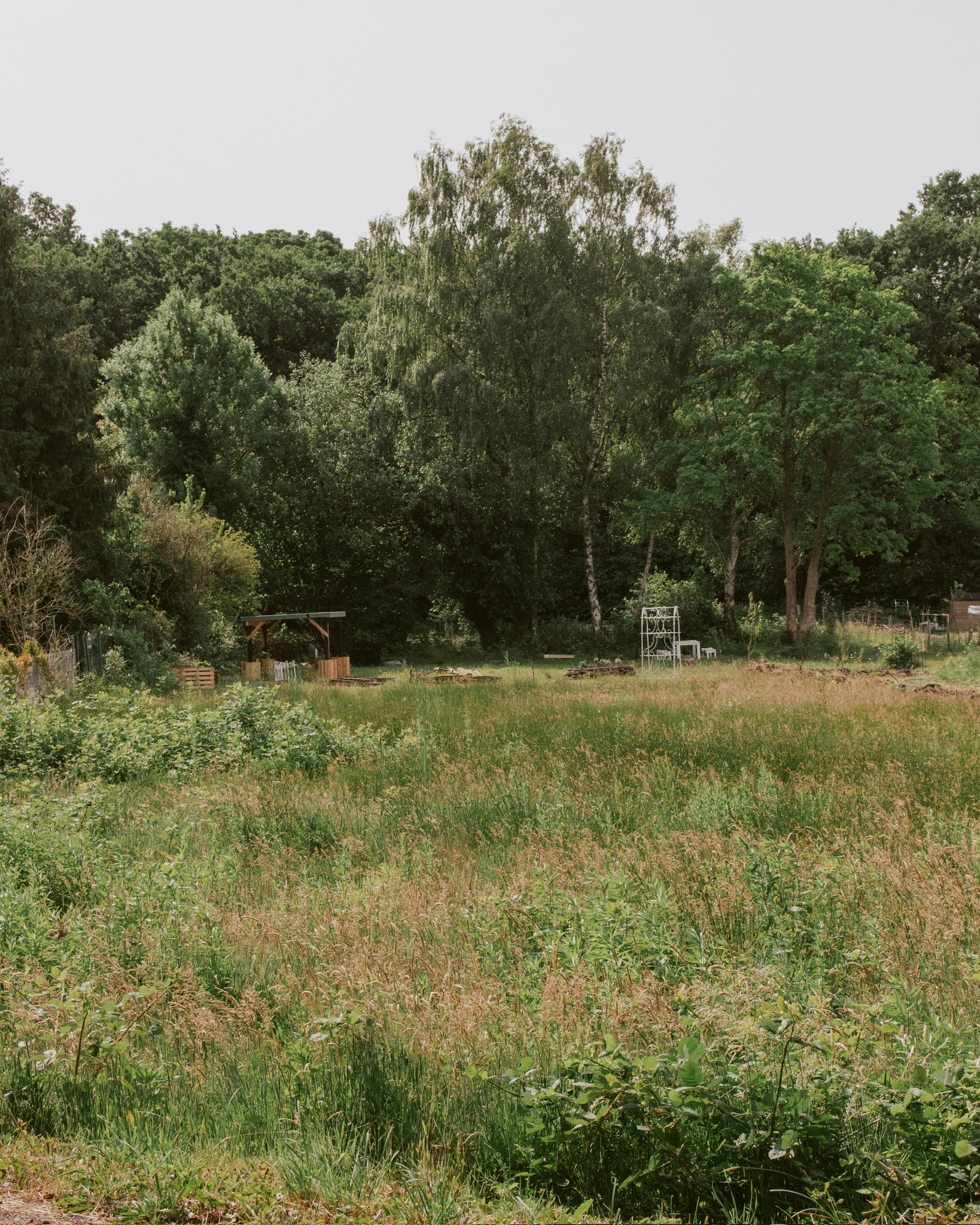 Blick in den Natur-Therapie-Garten, große Wiese