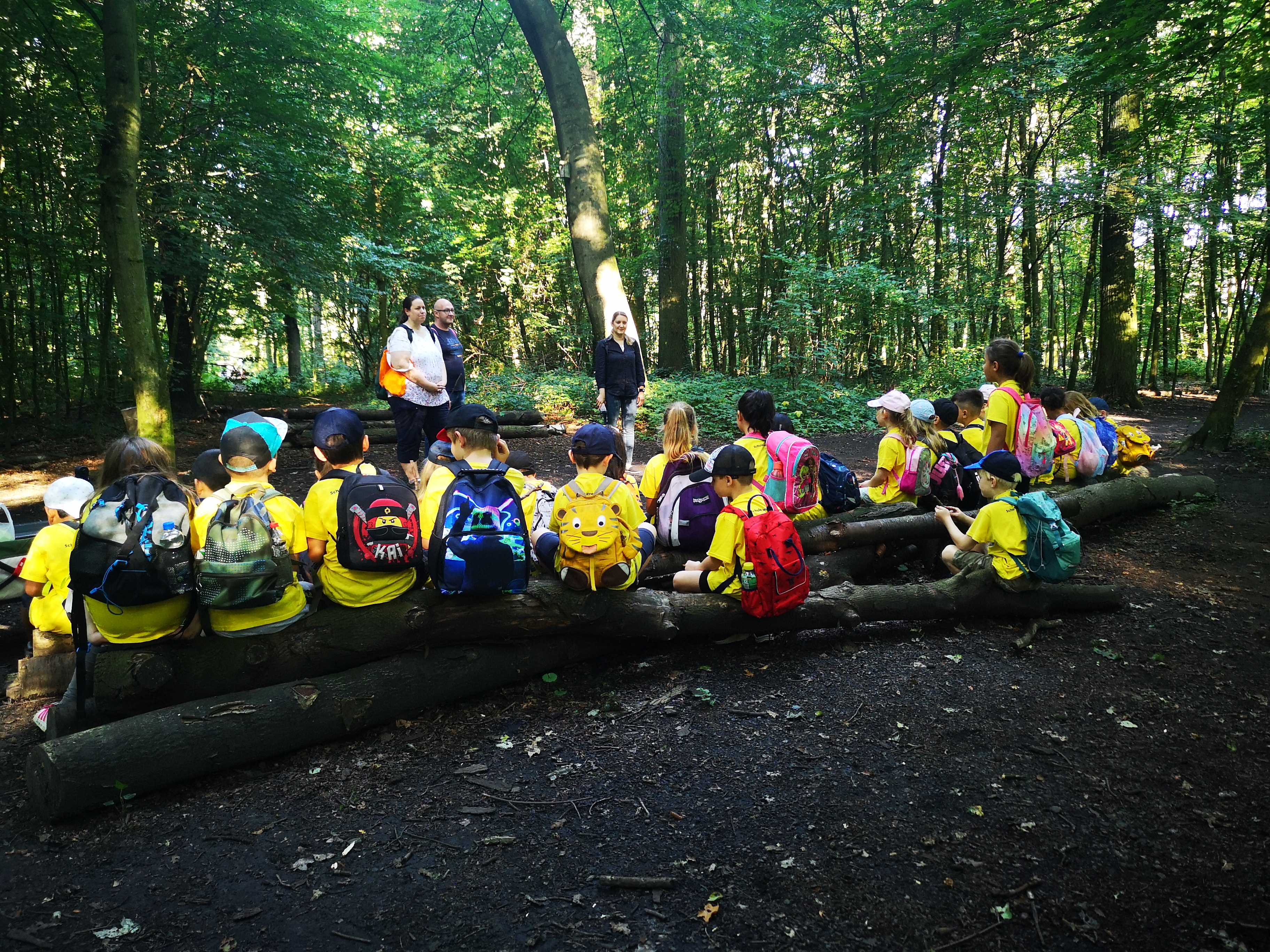 Das grüne Klassenzimmer Duisburg Eine Schulklasse im Grünen Klassenzimmer in einem deutschen Mischwald. Die Kinder sind von hinten auf einem Baumstamm sitzend fotografiert