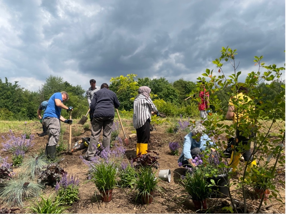 Eine Gruppe von Menschen pflanzen Bäume und Sträucher mit Spaten vor einem wolkenverhangenen Himmel