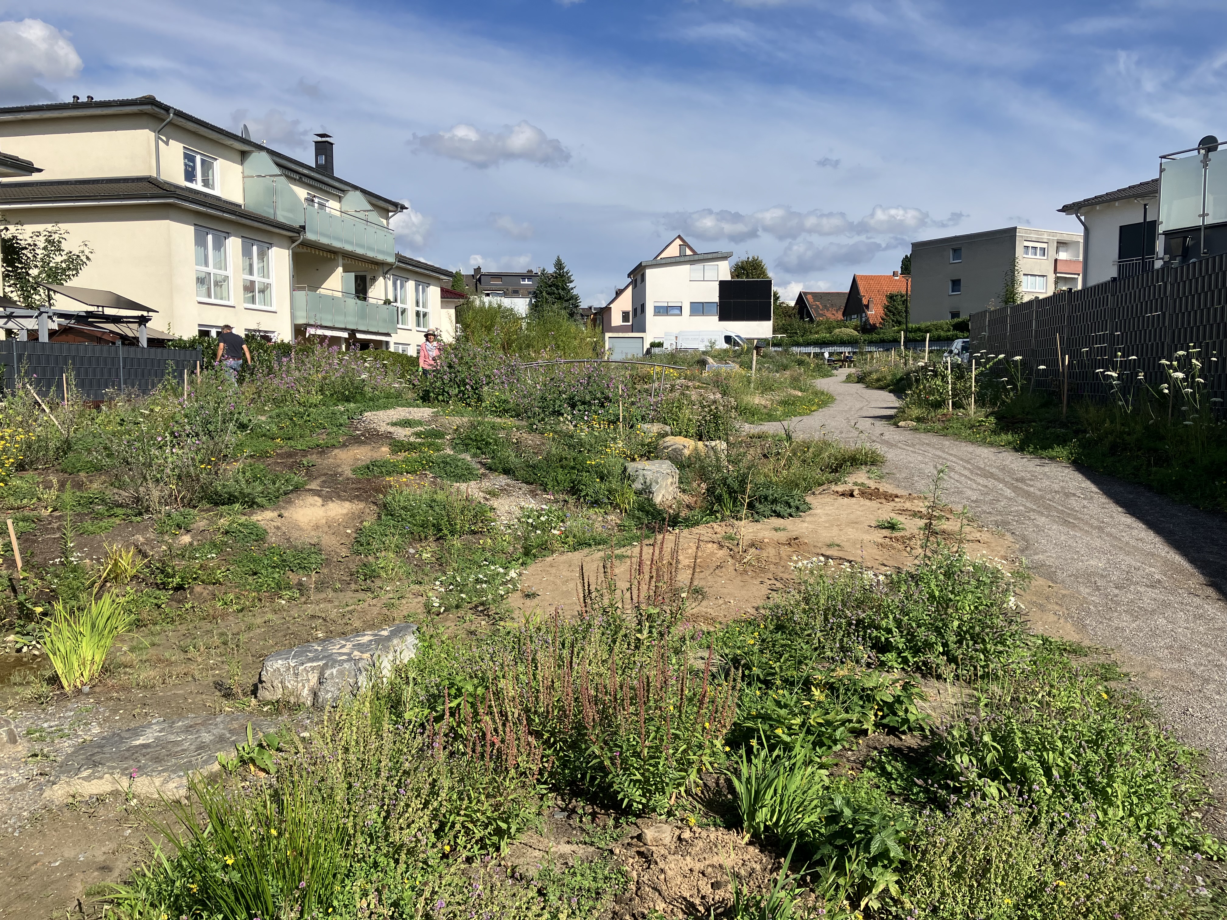 Naturerfahrungsfläche