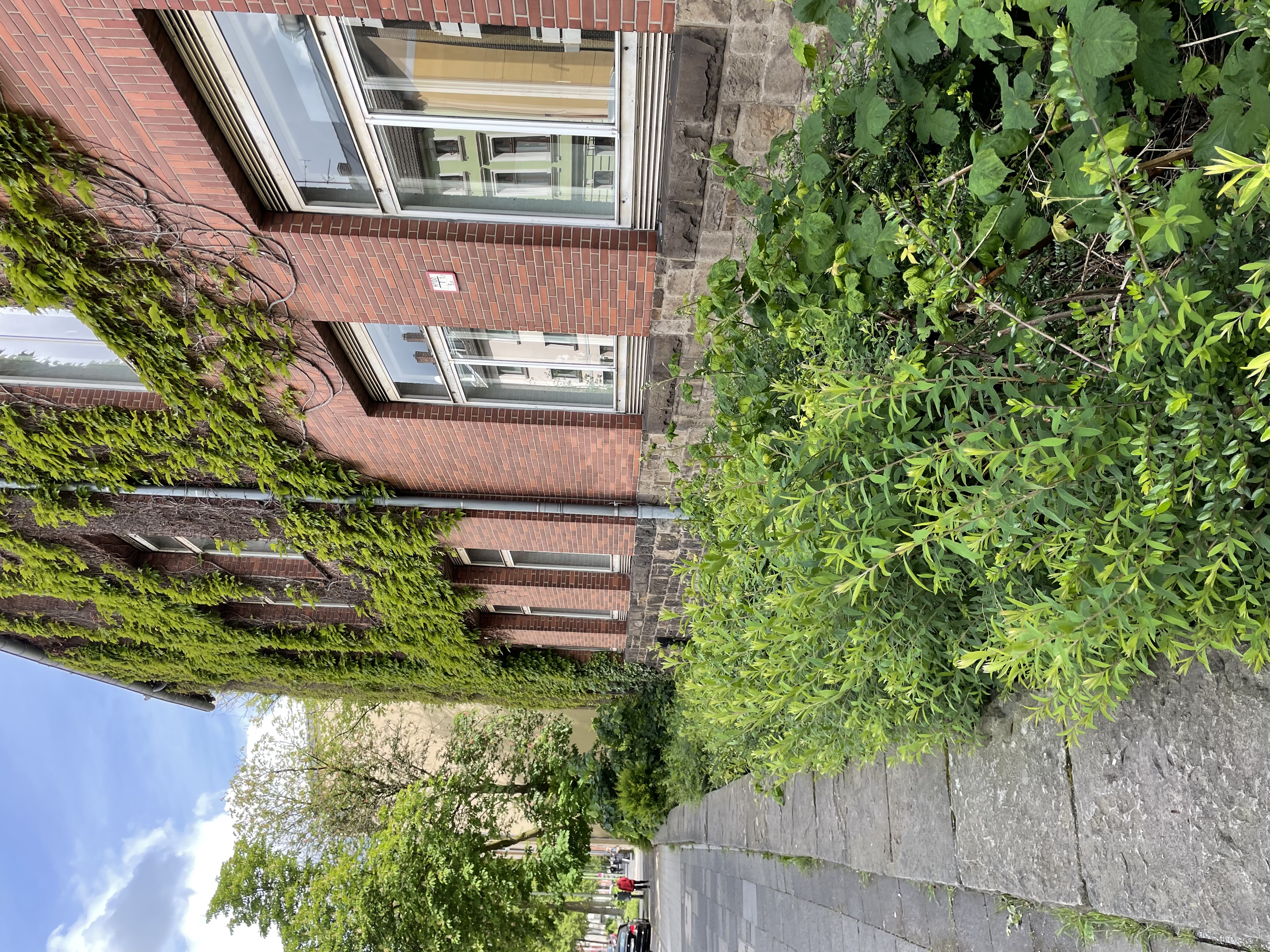 Vorgarten mit Entwicklungspotenzial 
