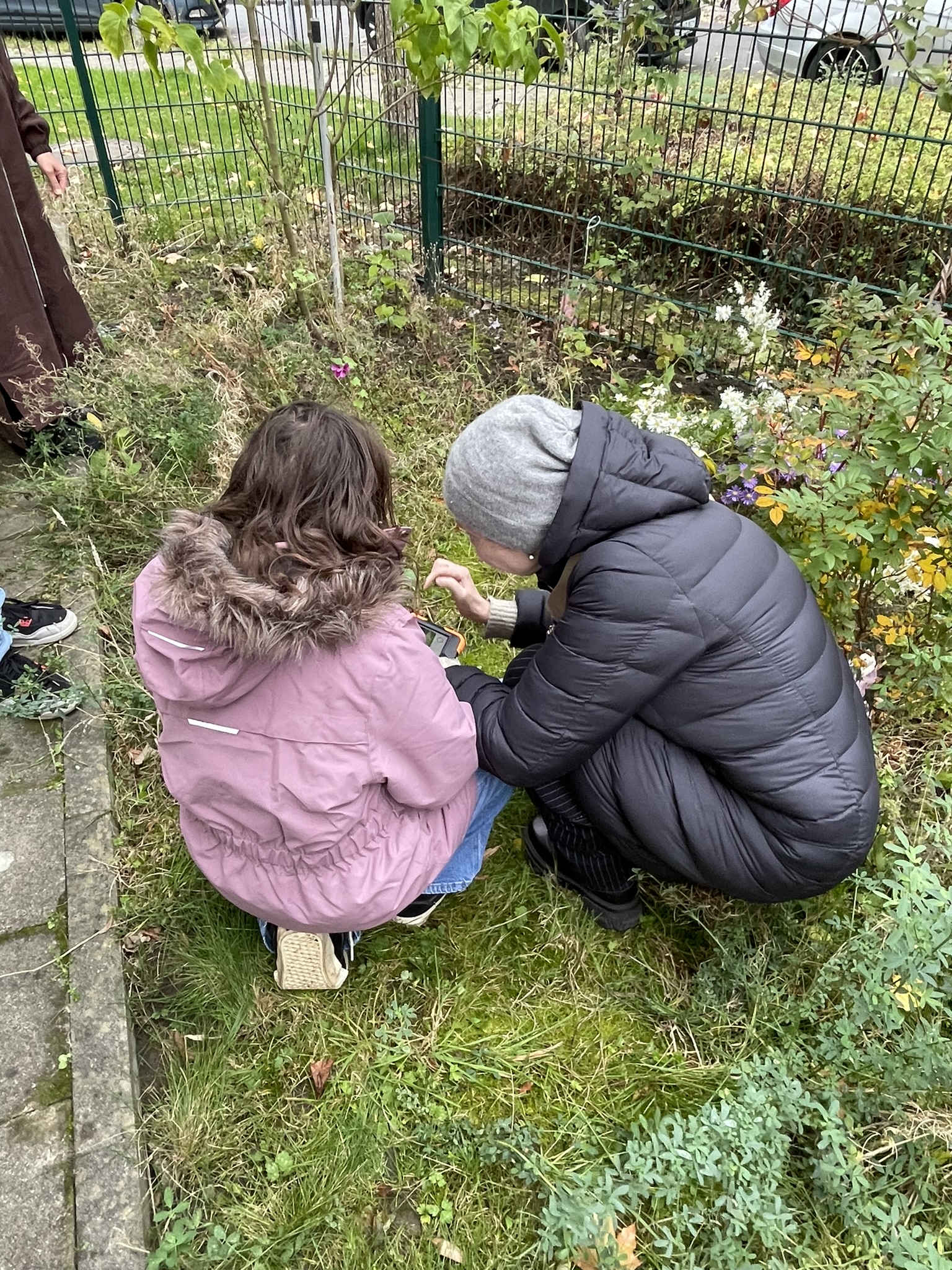 Kinder entdecken und erforschen Pflanzen in ihrem Quartier