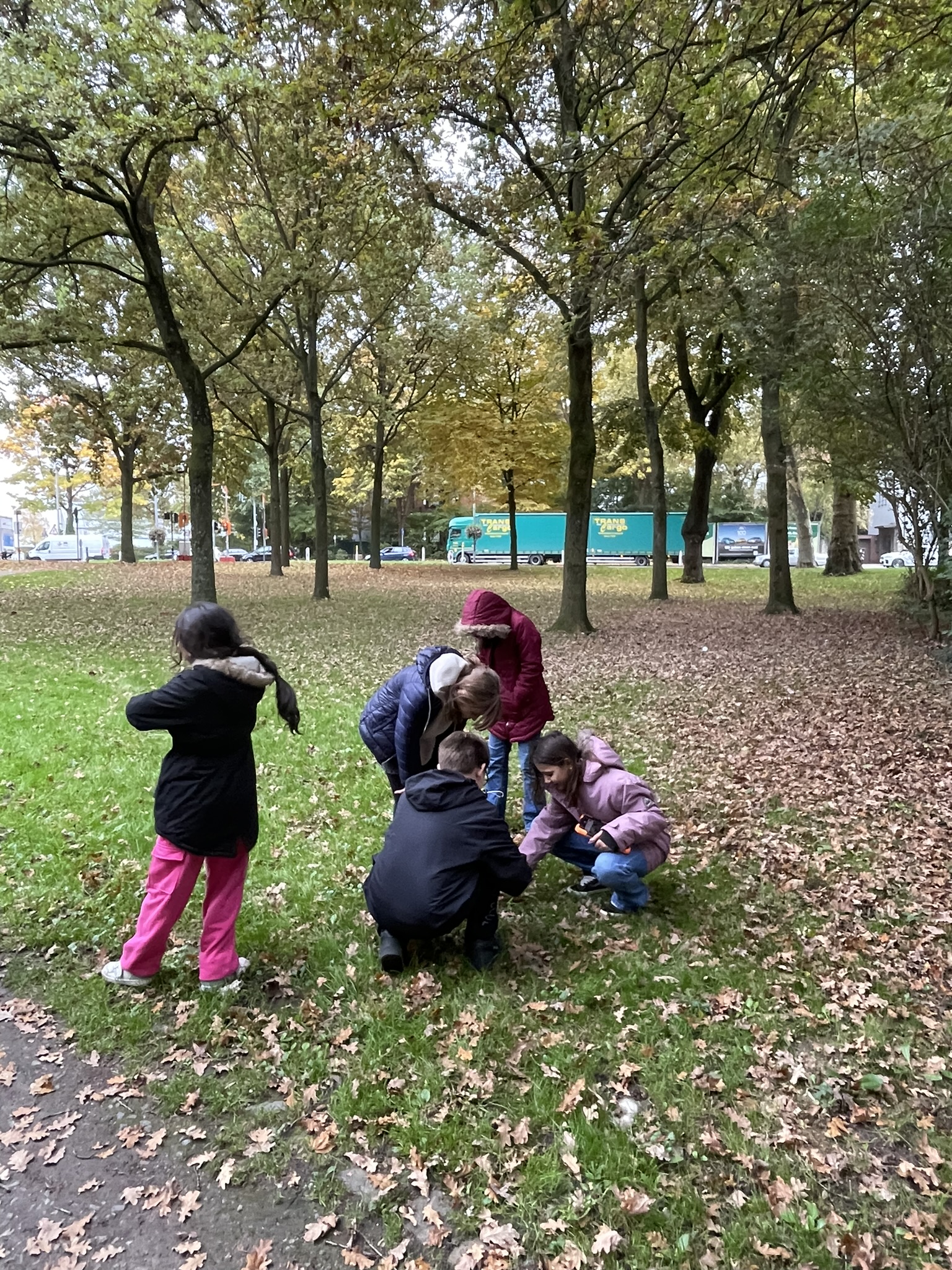 Kinder entdecken und erforschen Pflanzen in ihrem Quartier