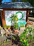 gfi GartenOase Herne mit Blumen