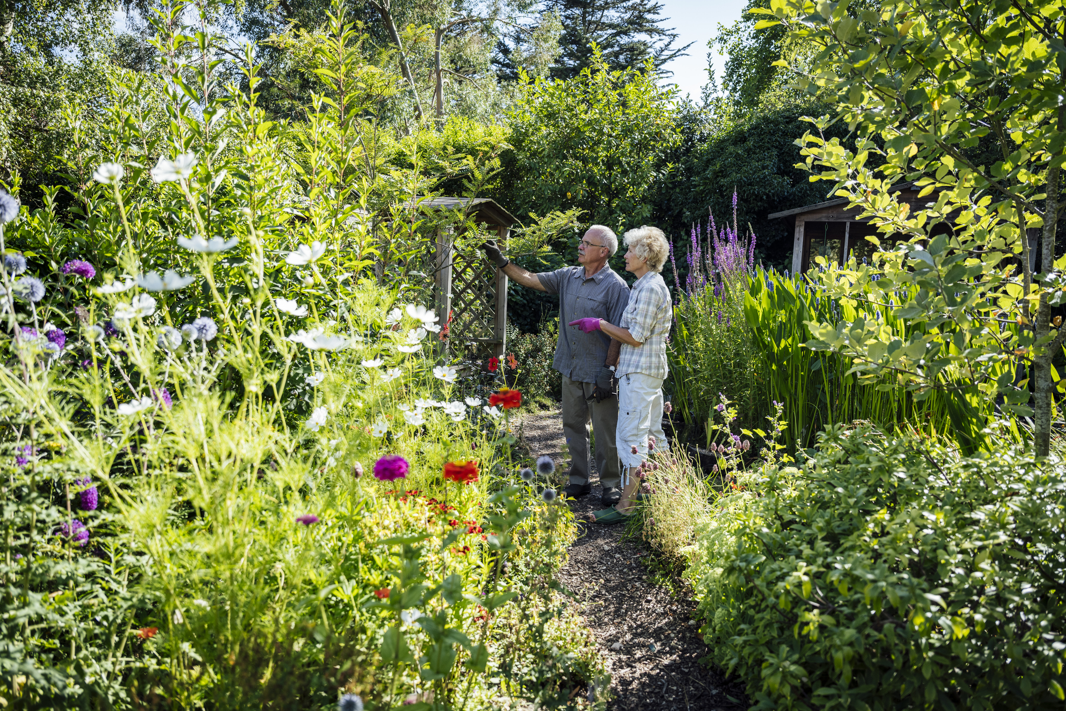 Älteres Pärchen steht im Garten