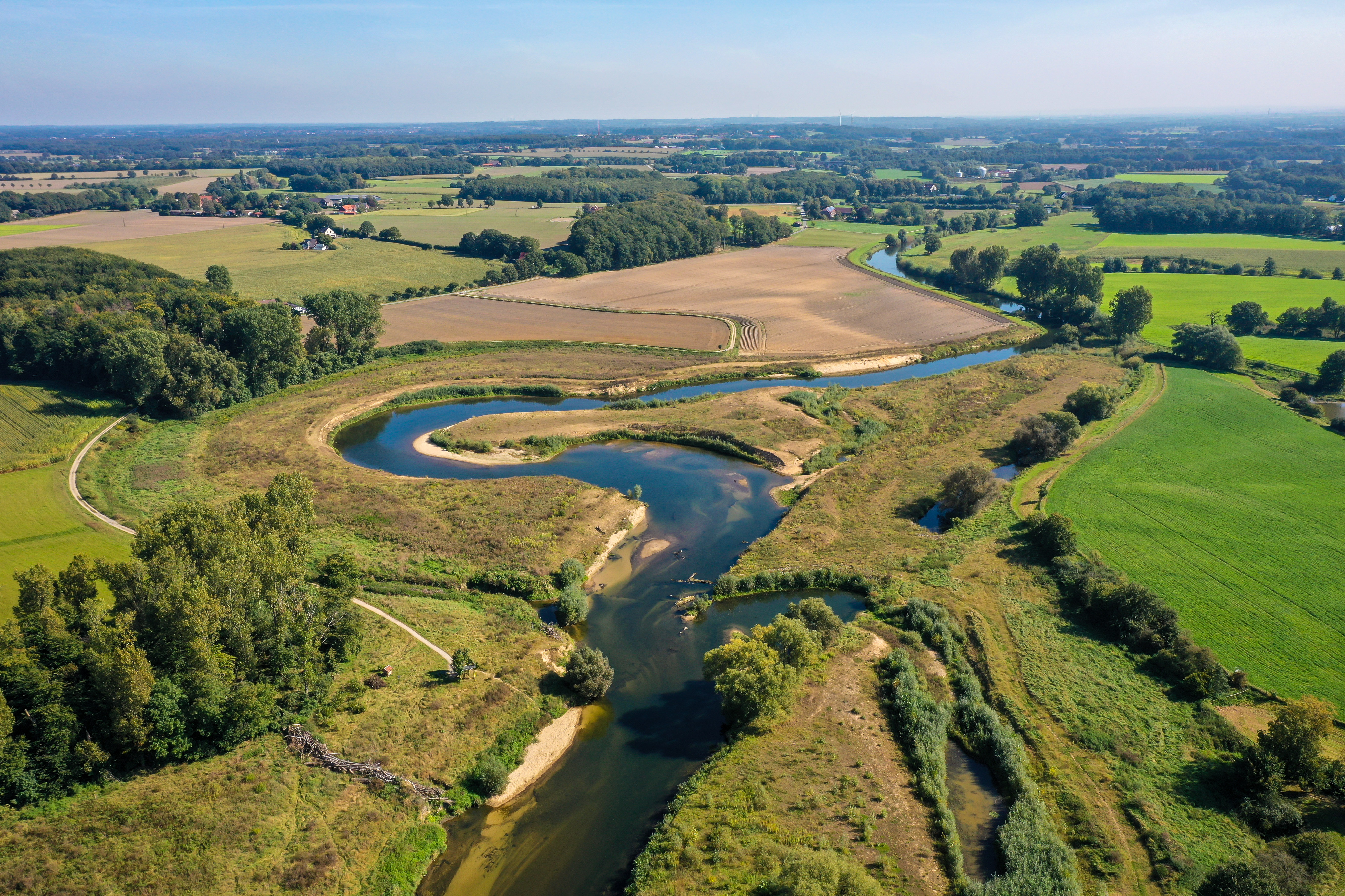 Vogelperspektive auf die Lippeaua, zwischen grünen Feldern und Bäumen.